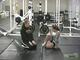 Gymnastics Training: Split Position Stretch