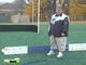 Field Hockey Skills: Rebounding Drill